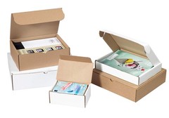 BOX USA BML13103 Literature Mailers, 13 x 10 x 3, White (Pack of 50)