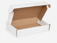 12 1/8 x 9 1/4 x 3 White Literature Mailer Boxes ECT-32 Corrugated Case of 50