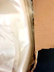 9 LB BOX OF 002 MIL 10X12 PLASTIC BAGS APPROX 400+ BAGS