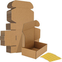9X6X2 Inches Shipping Boxes Set of 50, White Corrugated Cardboard Box Literature