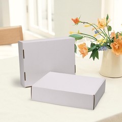 13x10x3 Shipping Boxes Set of 20, White Corrugated Cardboard Mailer Box for P…