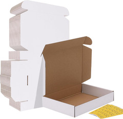 9X6X2 Inches Shipping Boxes Set of 50, White Corrugated Cardboard Box Literature