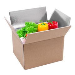 20-Pack Kraft Insulated Shipping Boxes 12 × 10 × 8 in Collapsible 200kg Load