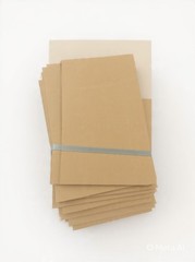 20 Pack 12x4x5 Corrugated Shipping Boxes Long Mailers Kraft 12x4x4.75 NEW FLAT