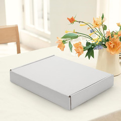 13X10X2 Inches Shipping Boxes Set of 25, White Corrugated Cardboard