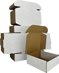 Small Shipping Boxes Set of 25/50, White or Black Corrugated Cardboard Box Maile