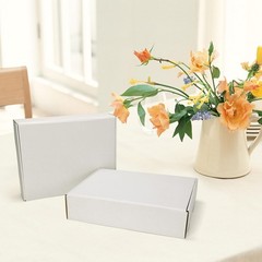 13x10x3 inches Shipping Boxes Set of 25 White Corrugated Cardboard Box Litera