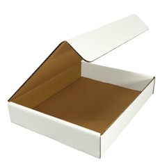 UBMOVE White Corrugated Mailer and Literature Boxes Sets of 50 (9″ x 6.5″ x 1.75