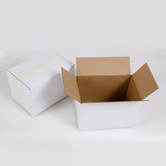 6x4x4 Inches Shipping Boxes Set of 40, White Corrugated Cardboard Box Literat…