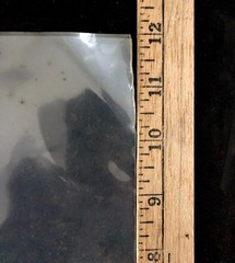 9 LB BOX OF 002 MIL 10X12 PLASTIC BAGS APPROX 400+ BAGS