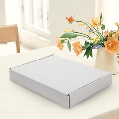 13x10x2 inches Shipping Boxes Set of 25, White Corrugated Cardboard Box Literatu