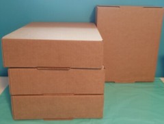50 12x10x3 Boxes Blank Cardboard Corrugated Shipping Packing Tapeless Easy Fold