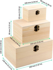 9 PCS 8X5X4 6X4X3 4X2.3X2.3 Inch Unfinished Wooden Box, Small Wood Box with Hing