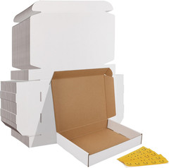 9X6X2 Inches Shipping Boxes Set of 50, White Corrugated Cardboard Box Literature