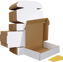 9X6X2 Inches Shipping Boxes Set of 50, White Corrugated Cardboard Box Literature
