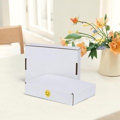 8×5.5×1.6 inches Shipping Boxes Set of 25, White Corrugated Cardboard Box Lit…