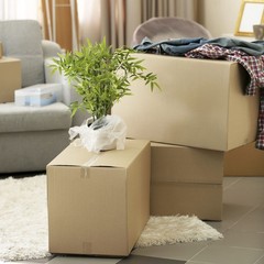 32x12x10 Long Corrugated Shipping Boxes ECT-32 Brown 20 Boxes