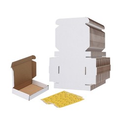 6x4x1 Shipping Boxes Set of 50White Small Corrugated Cardboard Box Mailer Box